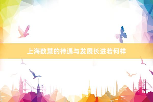 上海数慧的待遇与发展长进若何样